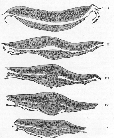 Fig. 15