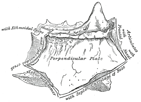 Fig. 150