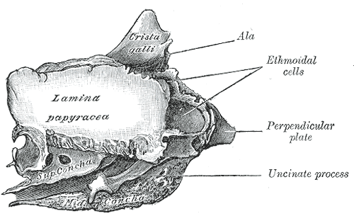 Fig. 152