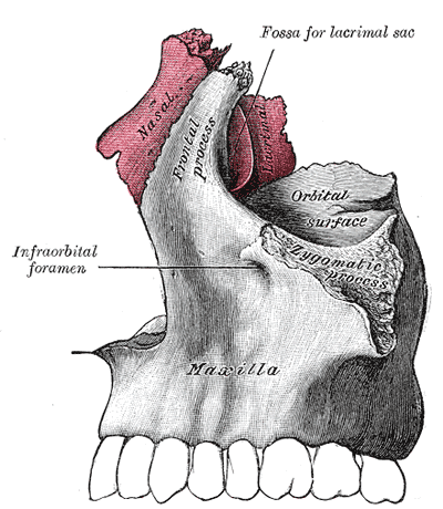 Fig. 154
