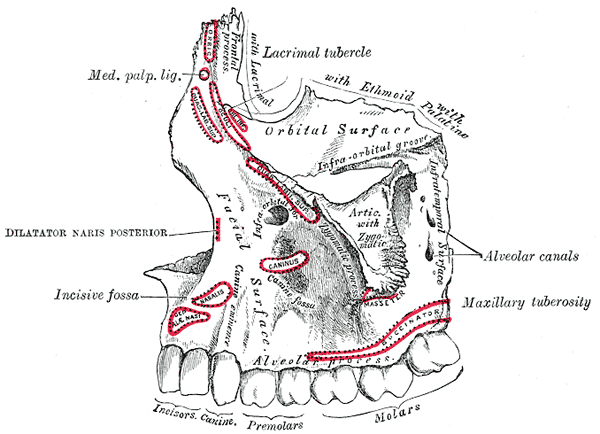Fig. 157