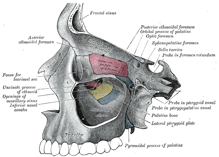 Fig. 159