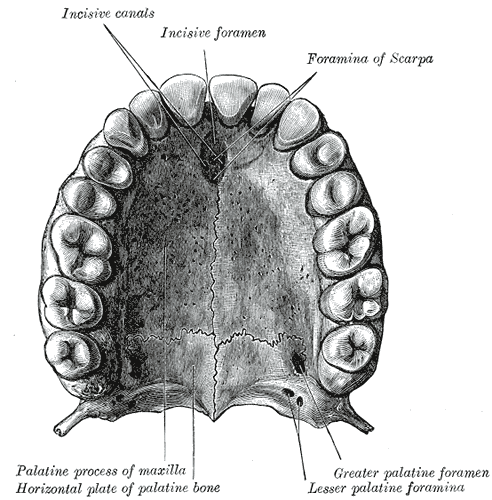 Fig. 160