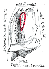Fig. 163