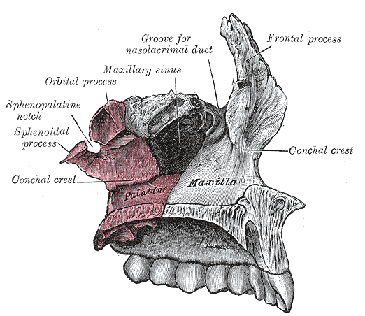 Fig. 167