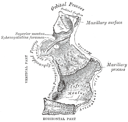 Fig. 168