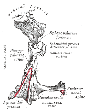 Fig. 169