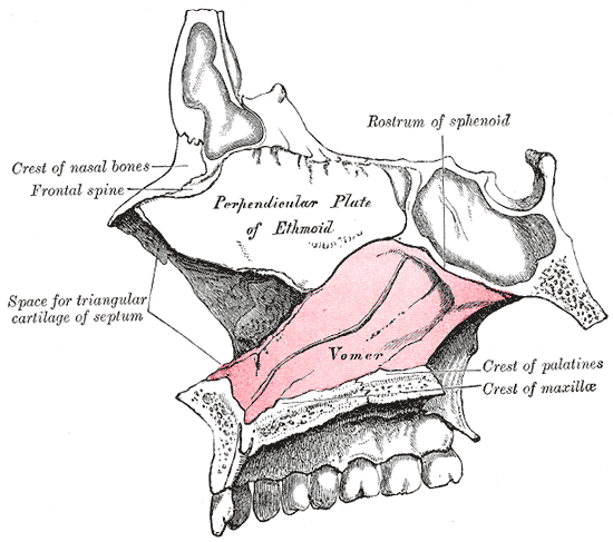 Fig. 173