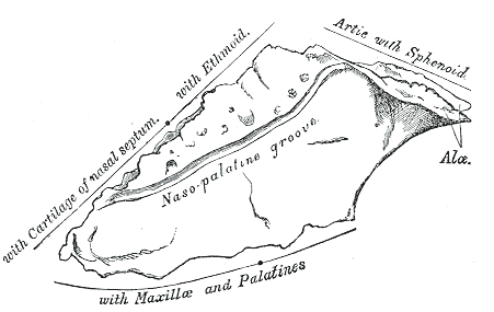 Fig. 174