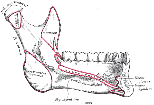 Fig. 177