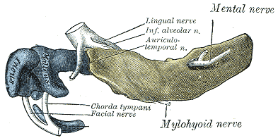 Fig. 178