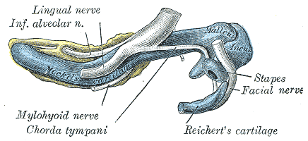 Fig. 179