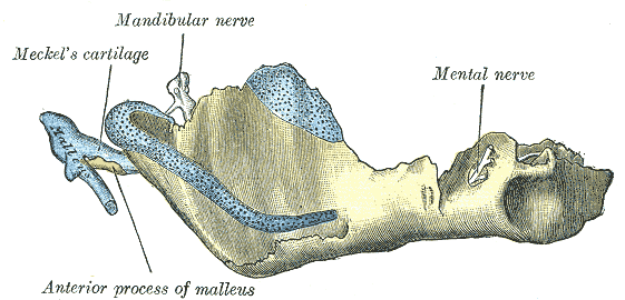 Fig. 180