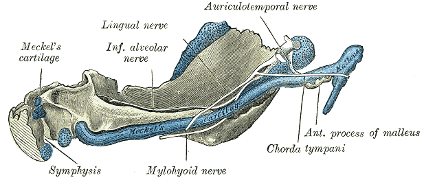 Fig. 181