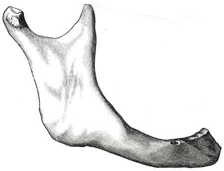 Fig. 185