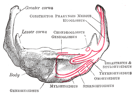 Fig. 186