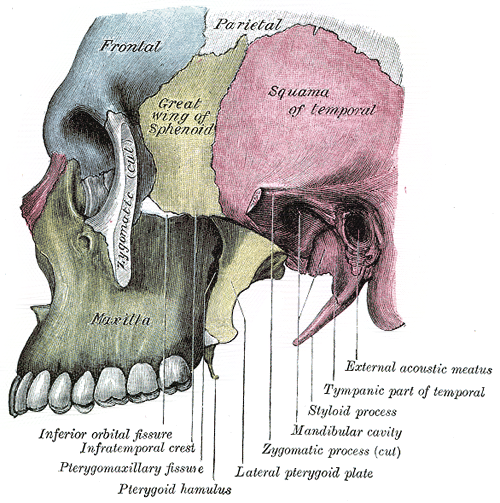 Fig. 189