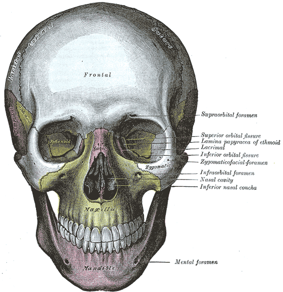 Fig. 190