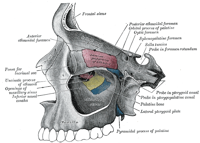 Fig. 192