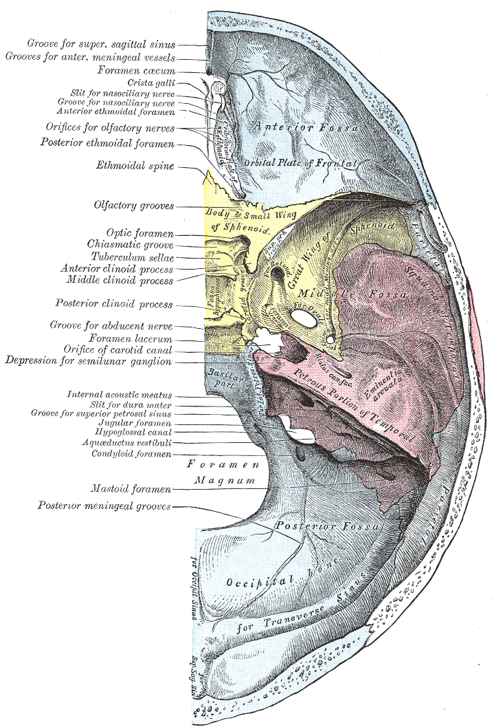 Fig. 193