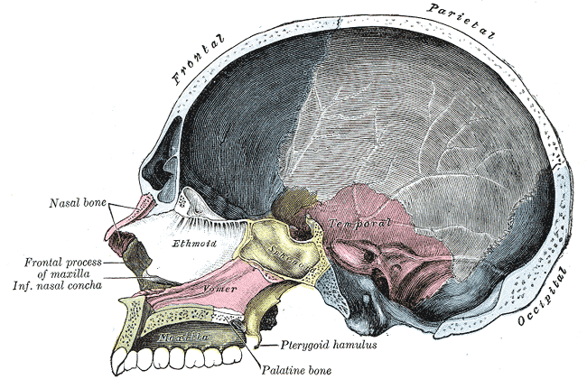 Fig. 194