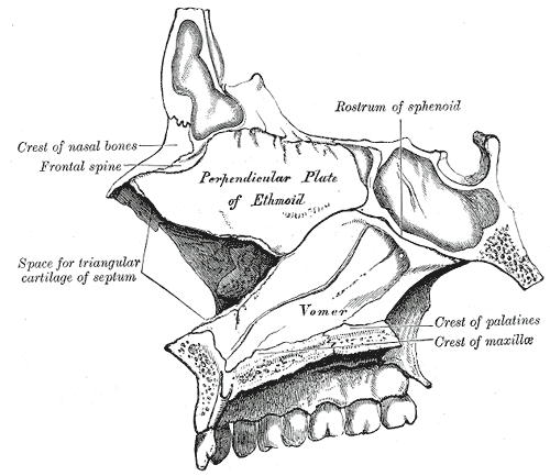 Fig. 195