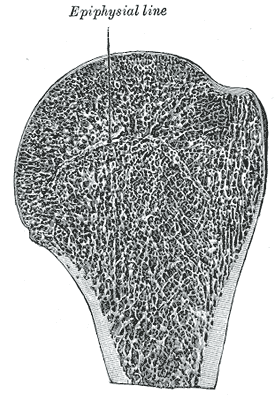 Fig. 209