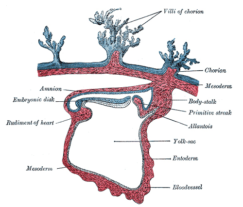 Fig. 21