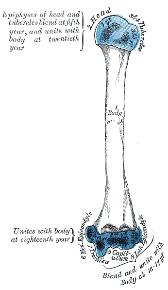 Fig. 210