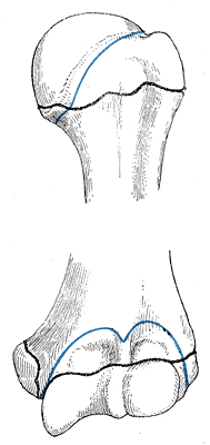 Fig. 211