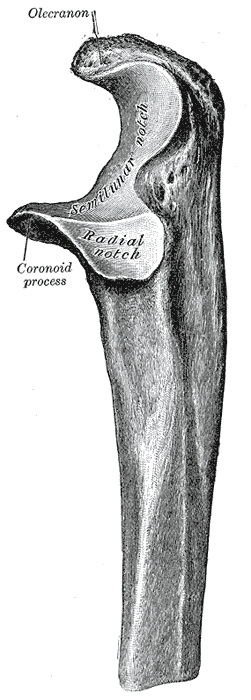 Fig. 212