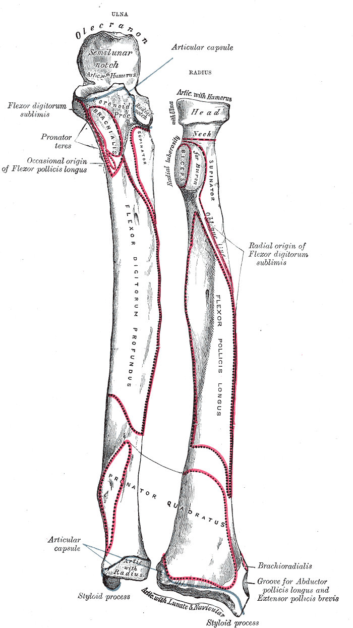 Fig. 213