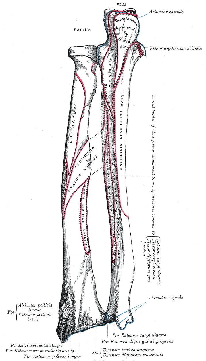 Fig. 214