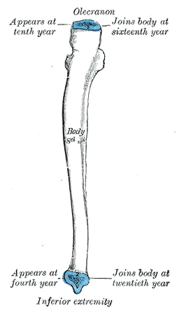 Fig. 215