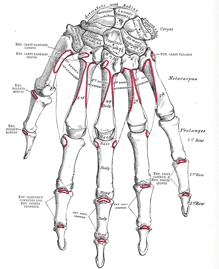 Fig. 220