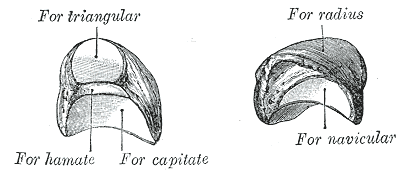Fig. 222