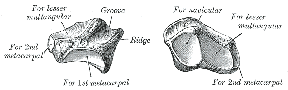 Fig. 225