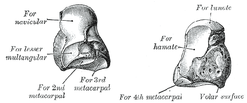 Fig. 227