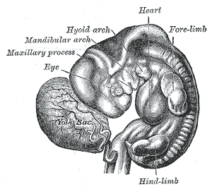 Fig. 23