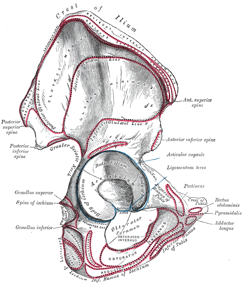 Fig. 235
