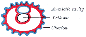 Fig. 24