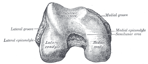 Fig. 246