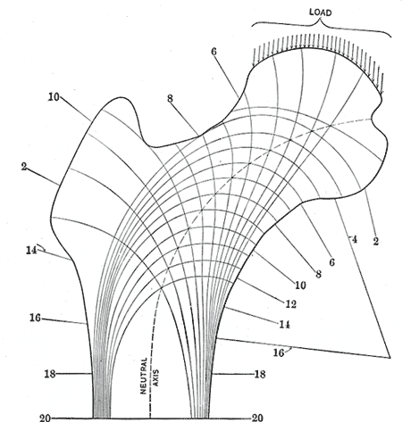 Fig. 248