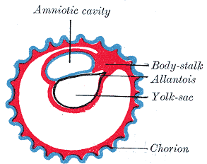 Fig. 25