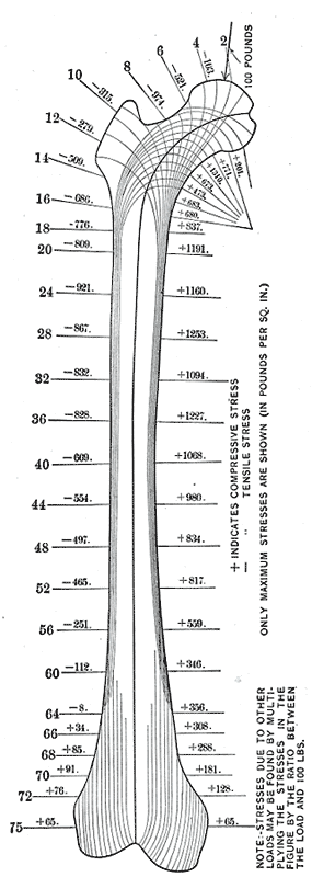 Fig. 250