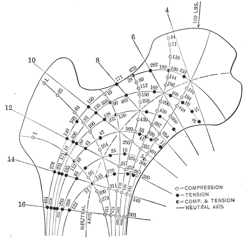 Fig. 251