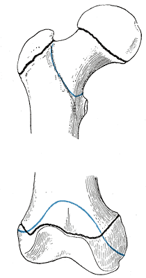 Fig. 253