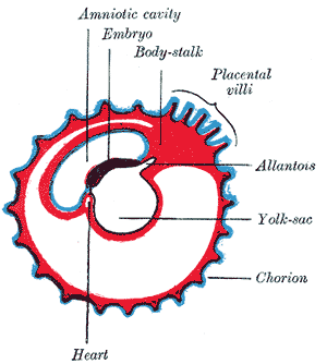 Fig. 26