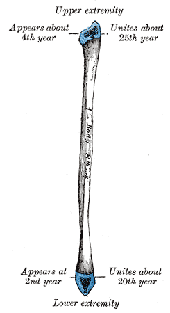 Fig. 263