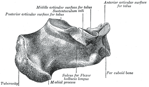 Fig. 267